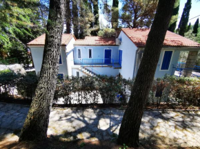 Morski gaj Resort
